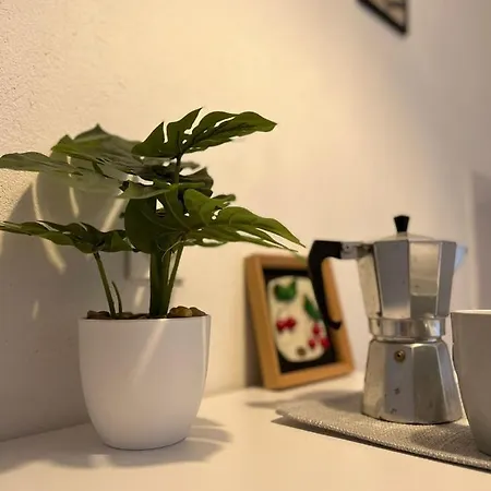 Appartement Enjoy Vrbovica Korčula